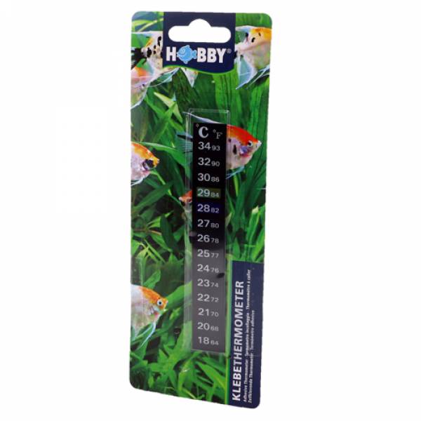 Klebethermometer